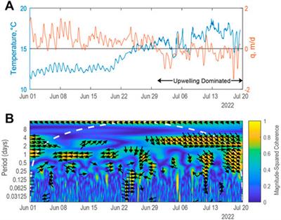 A multi-scale temperature-based strategy to map hydrologic exchange flows in highly dynamic systems